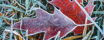 Сніг цьогоріч буде швидко і надовго: з’явився точний прогноз погоди на жовтень і листопад