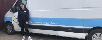«Чотири лапи» допомагає Арцизу стерилізувати безпритульних тварин