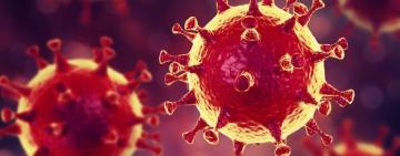 Одещина лідирує за кількістю хворих на COVID -19