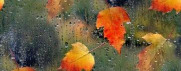 Дожди придут на Покрова: синоптик предупредила о резкой смене погоды 