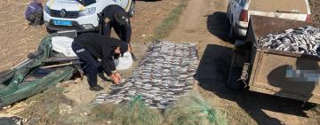 1.75 млн гривень збитків: у Білгород-Дністровському районі правоохоронці викрили браконьєрів з уловом кефалі