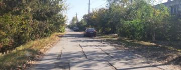 В Килии прохожие устроили самосуд автоледи, которая сбила беременную собаку (фото, видео18+)