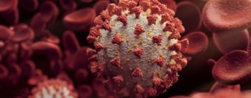 У Британії поширюється новий штам COVID-19