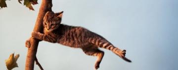 Будьте бдительны: в Одесской области снова штормовое предупреждение