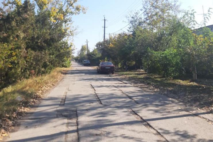 Мнение другой стороны конфликта: автоледи, которая сбила беременную собаку в Килии, рассказала свою версию произошедшего 