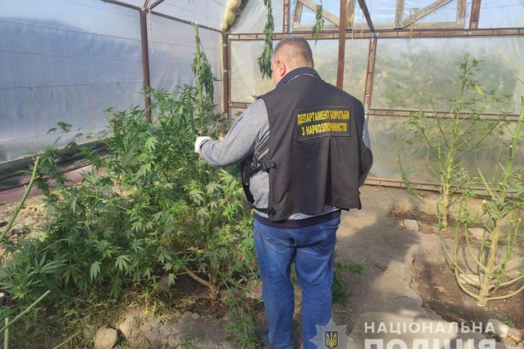 "Родинний бізнес з щомісячним обротом 200 000гривень": на Одещині батько й син підозрюються у наркозлочинах