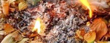 Арциз без диму: як КП 