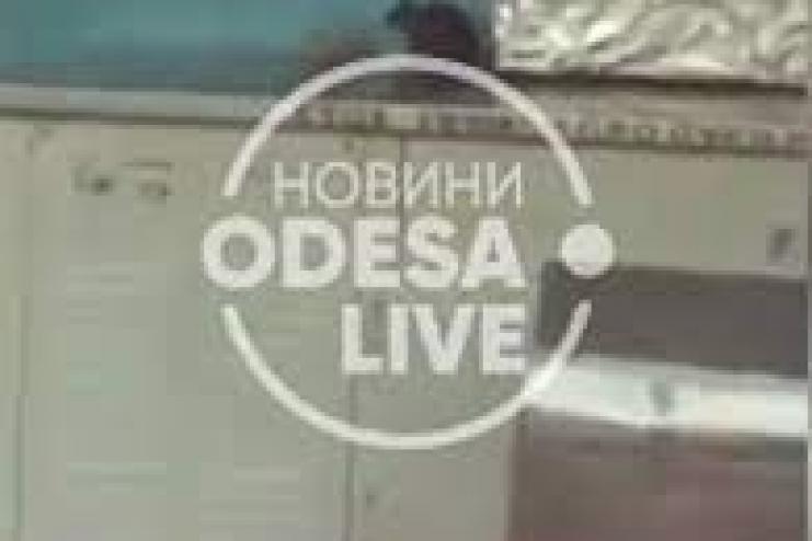 Даже людей не боятся: в Одесской области в школьной столовой бегают крысы