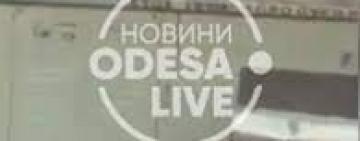 Даже людей не боятся: в Одесской области в школьной столовой бегают крысы