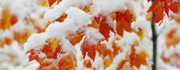 В Украину идет резкое похолодание со снегом и морозами