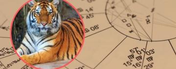 Кому Новый год 2022 принесет достаток и благополучие: топ-3 знака, которым повезет с деньгами