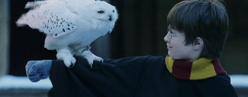 1 января 2022 года выйдет спецэпизод «Гарри Поттера»✨