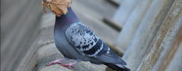 20 ноября. В Украине объявлено штормовое предупреждение