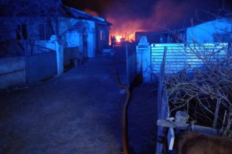 На Одещині 180 тварин загинули під час пожежі у господарчій будівлі