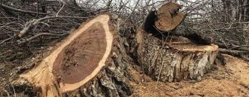 БЕСПРЕДЕЛ В АРЦИЗЕ!