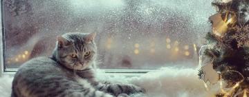 На Рождество в Украину придут настоящие морозы