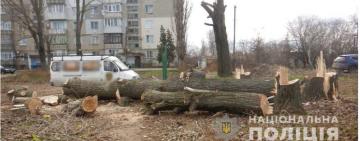 Срубил тополя посреди города: в Аккермане выявили "чёрного" лесоруба