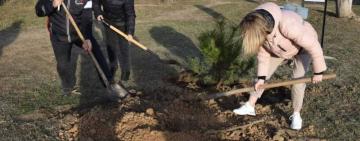 Протягом останніх двох тижнів в Саратській територіальній громаді активно проходила акція  «Створюємо ліси разом» 