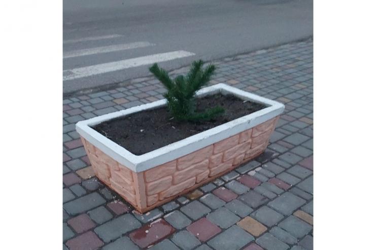 «Йолка» в Арцизе, или как превратить радость в гадость