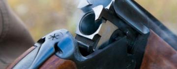 У жителя Одесской области во дворе застрелили собак: мужчина подозревает соседей