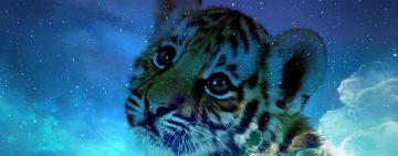 ГОРОСКОП НА 2022 ГОД ДЛЯ КАЖДОГО ЗНАКА ЗОДИАКА