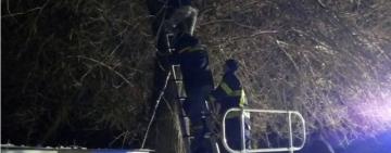 Спасатели сняли девушку с дерева