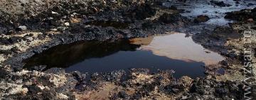 Ущерб на полмиллиона гривен: житель Одесской области систематически загрязнял земли нефтью