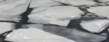 РАДИ СЕЛФИ: в Одесской области трое детей провалились под лёд