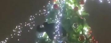 У Кривому Розі у новорічну ніч чоловік заліз на міську ялинку: на місце викликали рятувальників