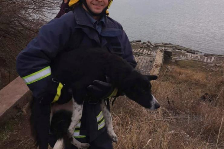 НЕРАВНОДУШНЫЕ: в Рени спасатели вытащили пса, упавшего в яму
