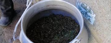 У двох мешканців Тарутинської громади вилучили канабіс та 150 литрів спирту