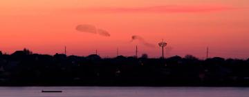 Жители Одесской области наблюдали удивительный "танец" тысяч птиц