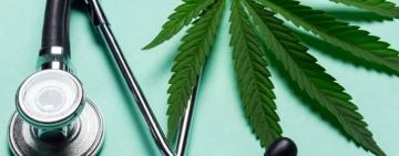 В 2022 в Украине могут легализовать медицинскую марихуану