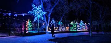 В Килии определили победителей новогоднего конкурса на лучшее украшение дома и предприятия