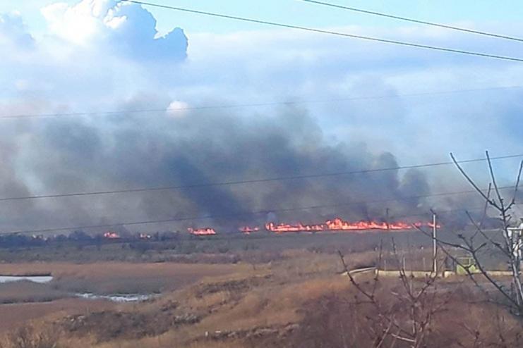 В нацпарке Одесской области вспыхнул масштабный пожар