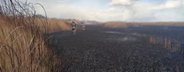 Пожарные ликвидировали масштабный пожар возле Днестровского лимана