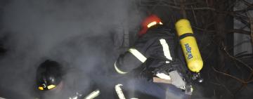 История спасения одесских домашних питомцев 