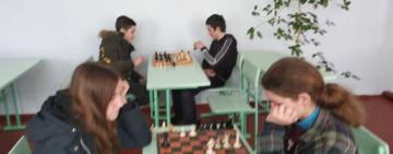 Змагання з шахів, шашок та волейболу у Павлівській громаді