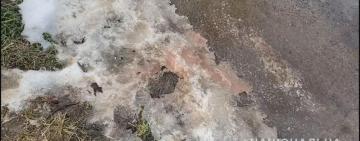 В Одесской области женщина разбила мужу топором голову, замотала в одеяло и выбросила к соседям