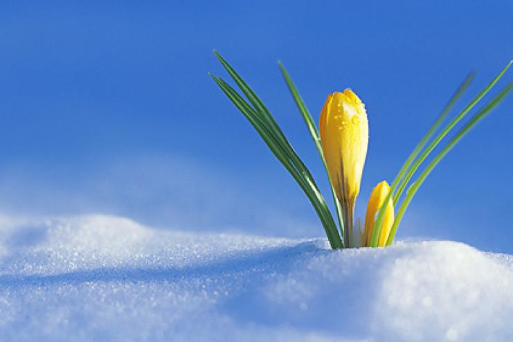 Зустрічайте, погодна аномалія №6 на підході!