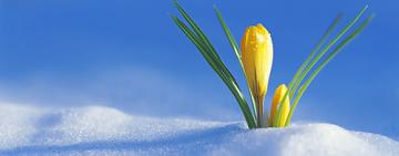 Зустрічайте, погодна аномалія №6 на підході!