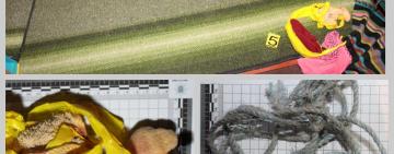 В Одесской области грабители ворвались в дом пенсионеров (видео)