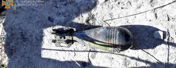 В Одесской области рыбак вместо улова поймал взрывоопасный предмет