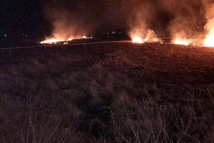 За сутки в Одесской области произошло 65 пожаров на экосистемах