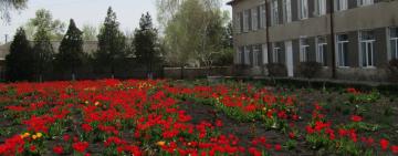 Бородинская школа всегда в цветах