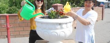 Как  прекрасно начинать так утро...