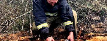 На території Вилківського лісництва знов горіла суха трава