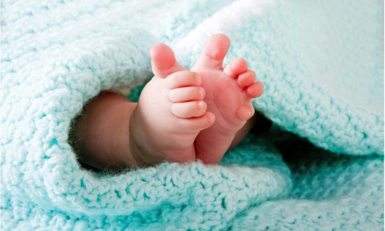 Понад 48 000 малюків народилось в Україні від початку війни!