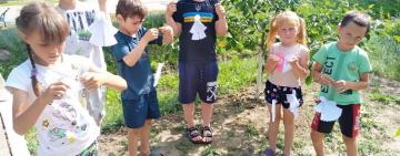 Акция "Ангелы памяти" в Бородинской ПТГ