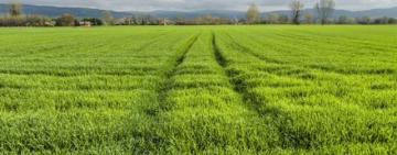 За позовами Білгород-Дністровської спецпрокуратури до державної власності повернуто понад 2,4 тис. га земель оборони